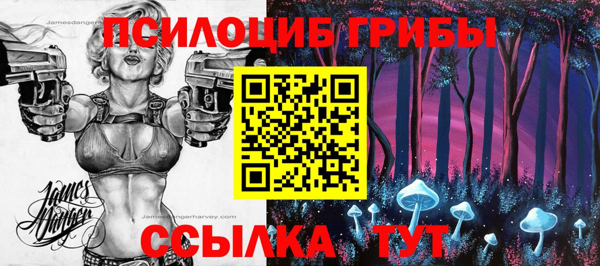 Галлюциногенные грибы мицелий  Вход с VPN  Псилоцибиновые грибы GOLDEN TEACHER  Новошахтинск 